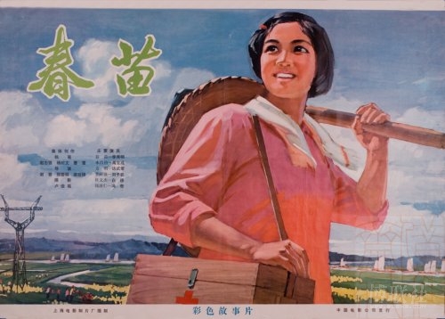 金士顿大学学士毕业证